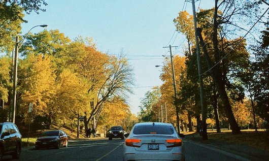 Wennen aan de herfst