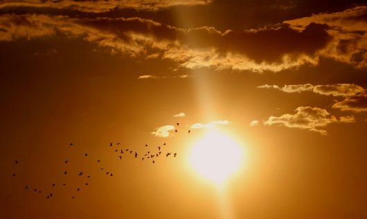 Wat doe je tegen een laagstaande zon?