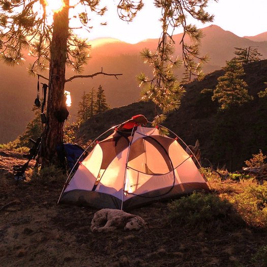 kamperen en letselschade