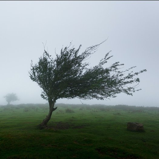 coverchagrijnigsquare