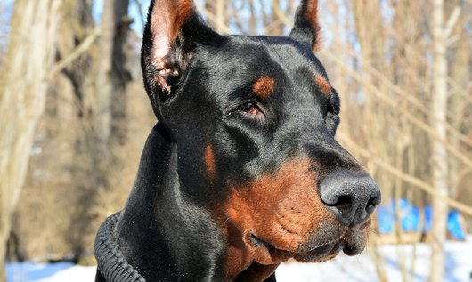 “Maar die van ons doet niets hoor”